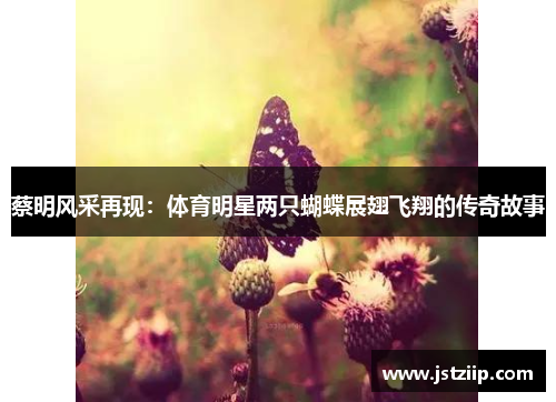 蔡明风采再现：体育明星两只蝴蝶展翅飞翔的传奇故事
